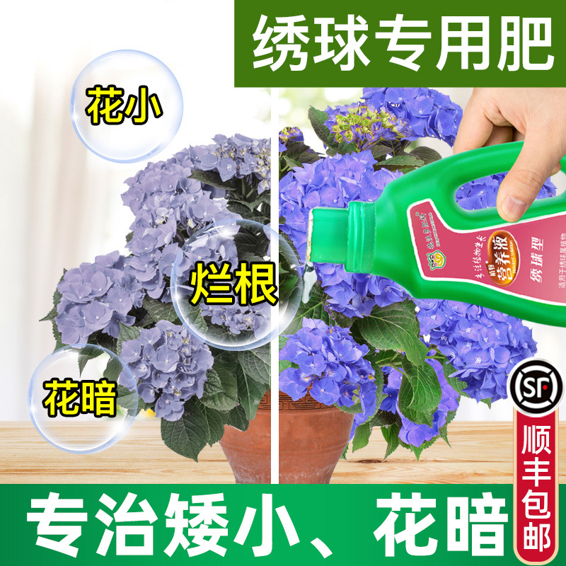 德沃多肥料绣球专用型营养液紫阳花八仙花养花肥料盆栽 德沃多肥料绣球专用型营养液紫阳花八仙花养花肥料盆栽