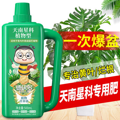 天南星科植物营养液专用肥料红掌