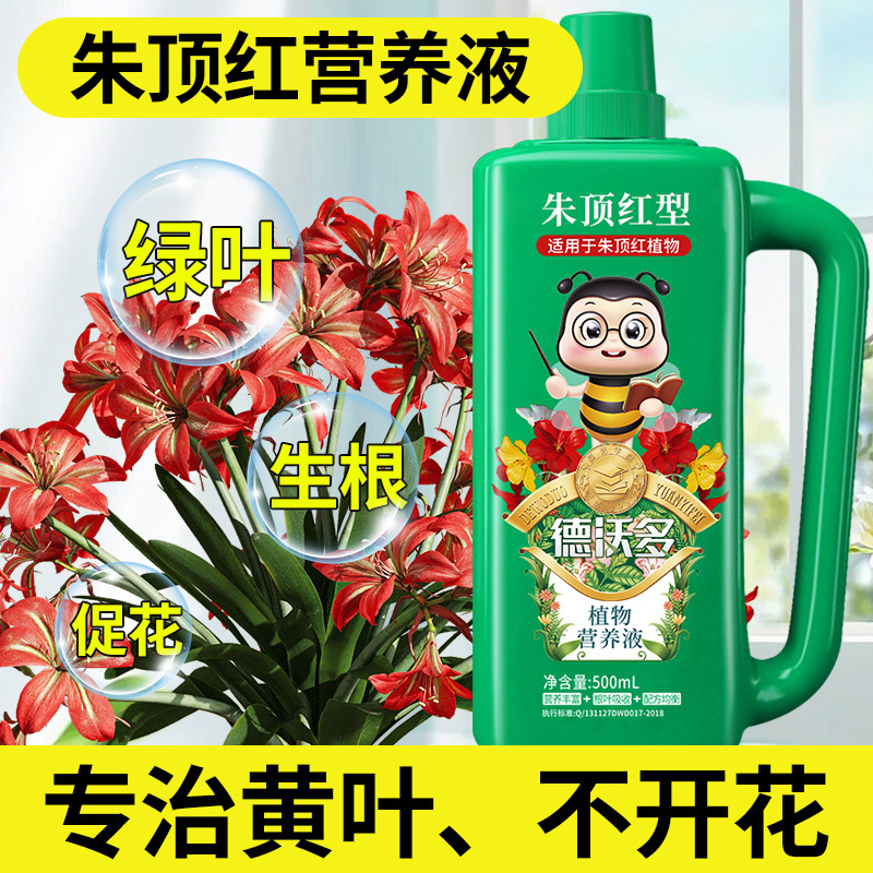 朱顶红肥料营养液球根植物