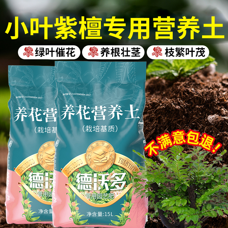 小叶紫檀专用土营养土大叶土壤养花土家用种植泥炭土肥料盆栽花土