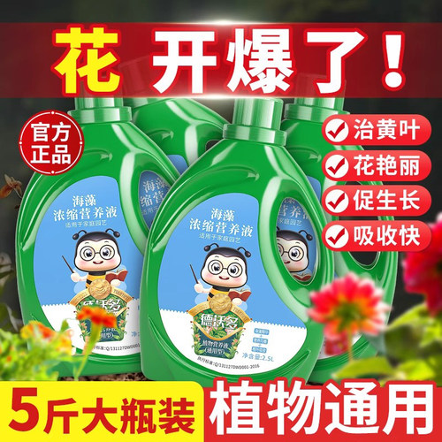 通用型植物浓缩营养液发财树花肥