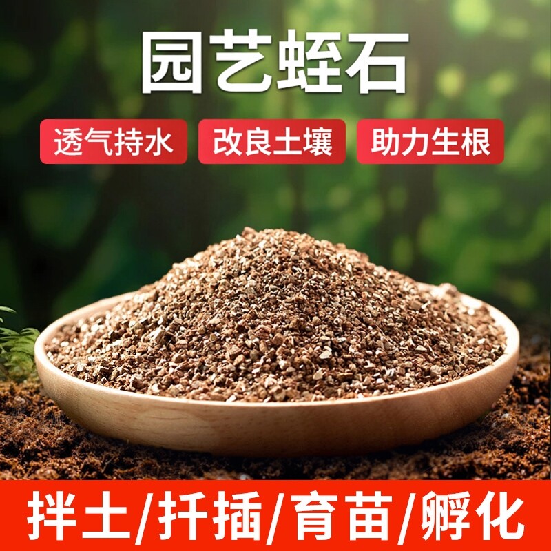 园艺优质蛭石养花扦插用多肉发根图片
