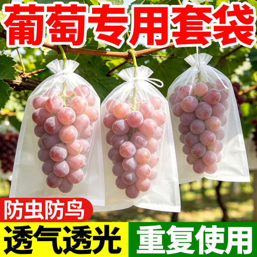 葡萄专用套袋果树防虫防鸟透气袋