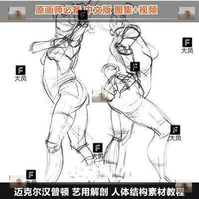 迈克尔汉普顿 人体结构 艺用解剖 绘画 krenz推荐 学习资料集