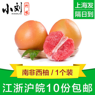 红心红肉柚子新鲜 南非西柚 包邮 10个 葡萄柚水果 1个装
