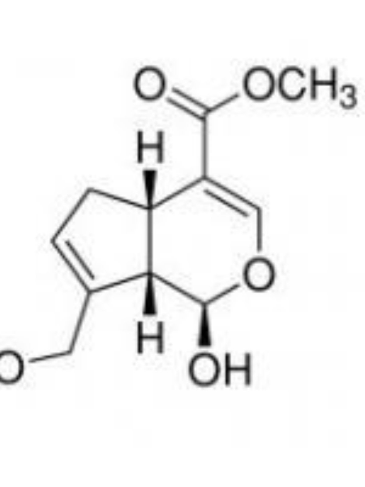 现货批发京尼平高含量植物交联剂 纹身材料 科研实验专用品2克起