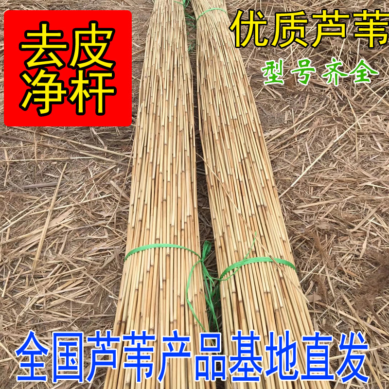 DIY芦苇杆屋顶装饰墙面吊顶篱干花/花瓣/干花包/