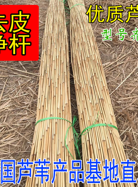 DIY芦苇杆屋顶装饰墙面吊顶篱笆净杆影视道具芦苇管民宿农家装饰