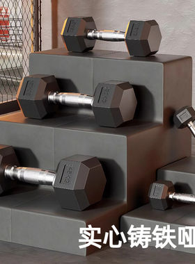 哑铃5/20kg一对男士健身家用实心铸铁纯钢10公斤大重量专业锻炼
