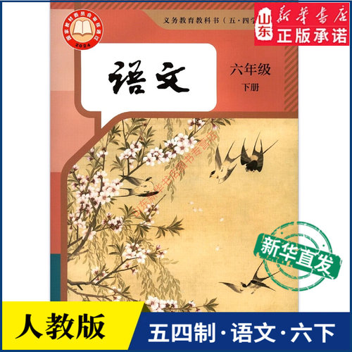 中学六年级下册语文人教版