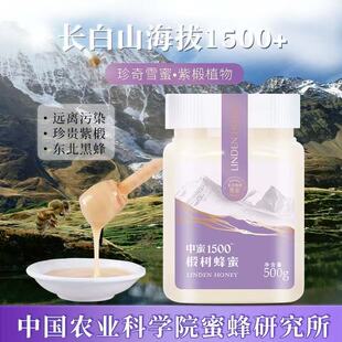 华兴蜂蜜中国农科院蜂蜜所椴树蜜华兴东北黑蜂瓶装长白山雪蜜白蜜