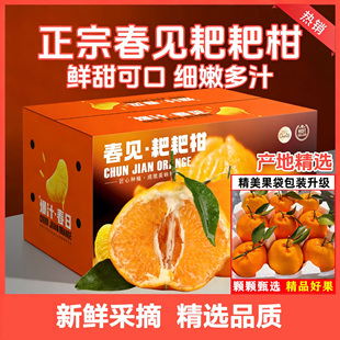 四川春见耙耙柑桔子粑粑柑当季现摘整箱礼盒装（果园直发新鲜水果