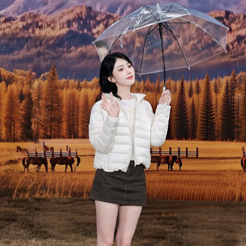 小个子连帽轻薄短款羽绒服女保暖