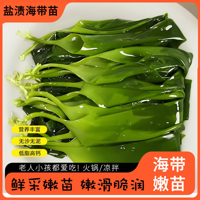盐渍海带苗海带嫩苗盐渍海带苗嫩芽火锅食材凉拌菜商用批发
