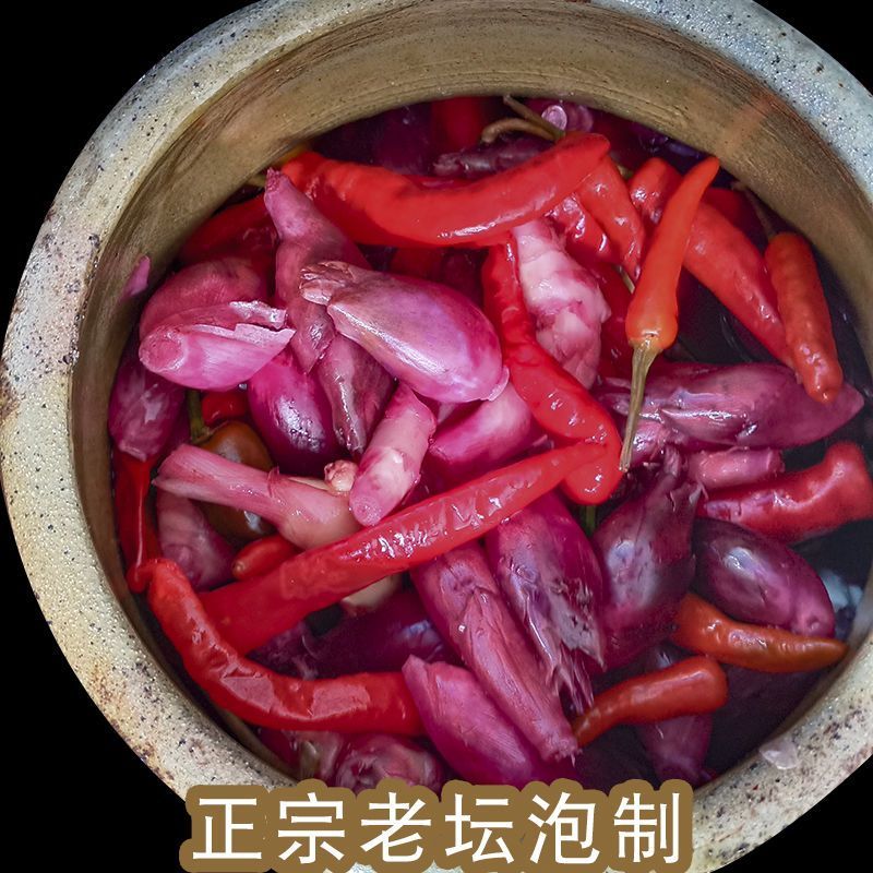 老坛酸阳荷姜老坛腌制酸辣洋荷洋火姜洋禾姜下饭菜酸辣开胃菜泡菜