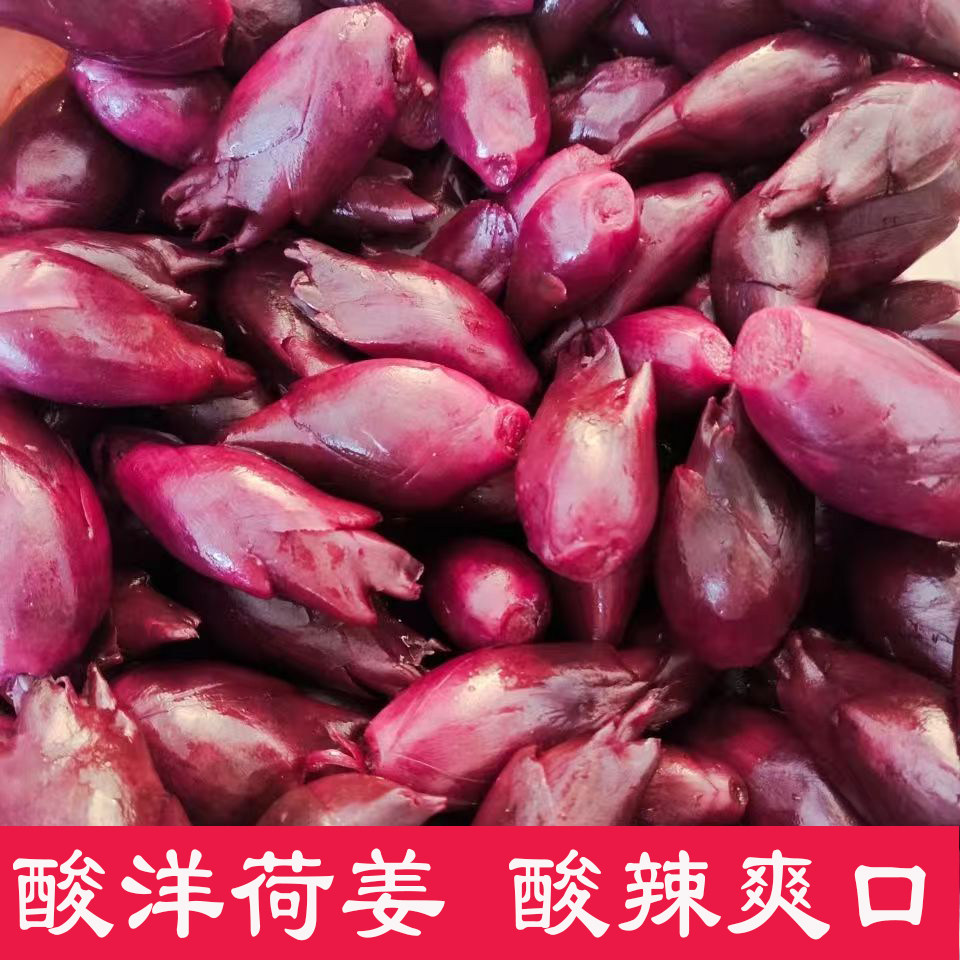 酸辣洋荷姜阳荷姜新鲜现挖洋姜洋荷腌制农家洋河姜洋火姜蔬菜包邮