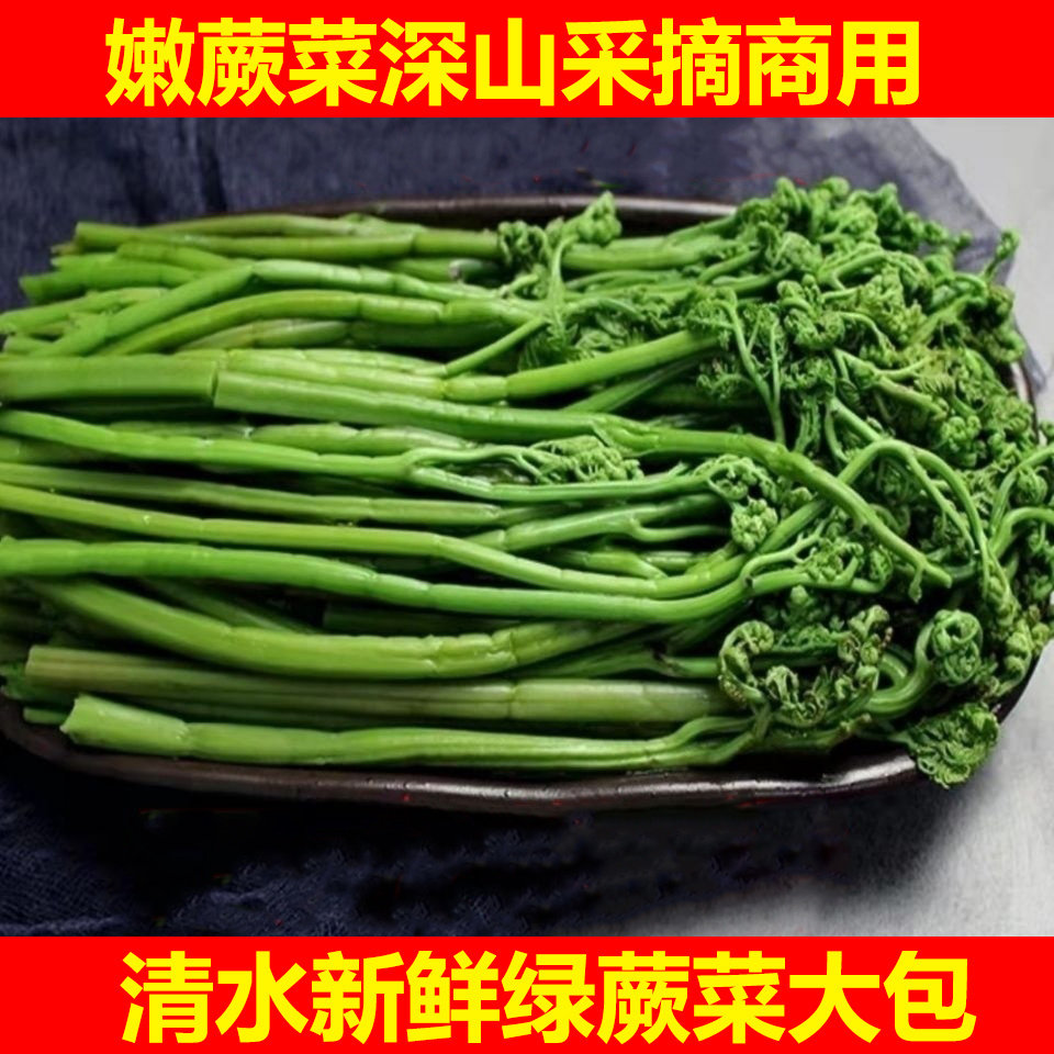 清水蕨菜新鲜绿蕨菜嫩蕨菜龙头菜猫爪野菜含水袋装300克含水包邮