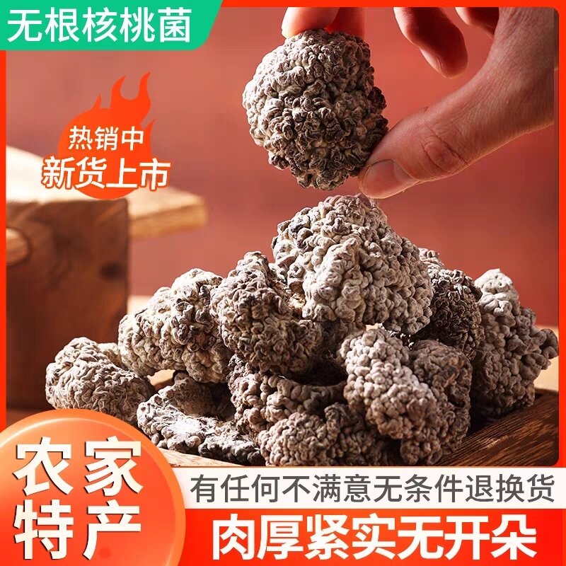 猴脑菌猴脑菇核桃菌干货大个结实不开花100g木耳疙瘩食用菌酒店菜