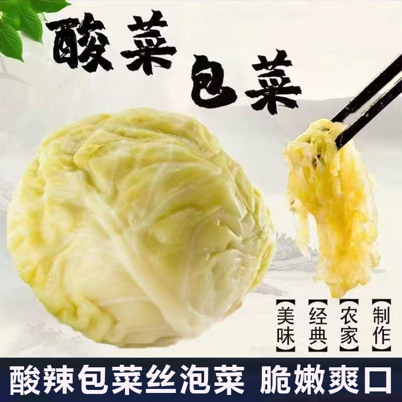 酸辣包菜丝陕西安康腌制酸辣包菜丝脆爽包菜卷心菜老坛泡菜下饭菜