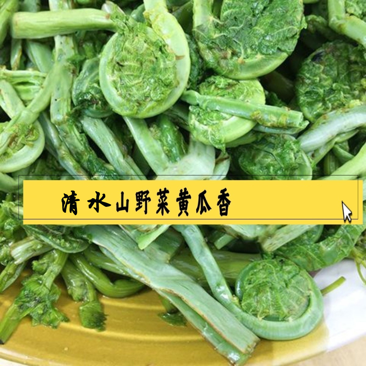 清水黄瓜香新鲜黄瓜香广东菜蕨菜野菜凉拌菜山野菜300克含水袋装