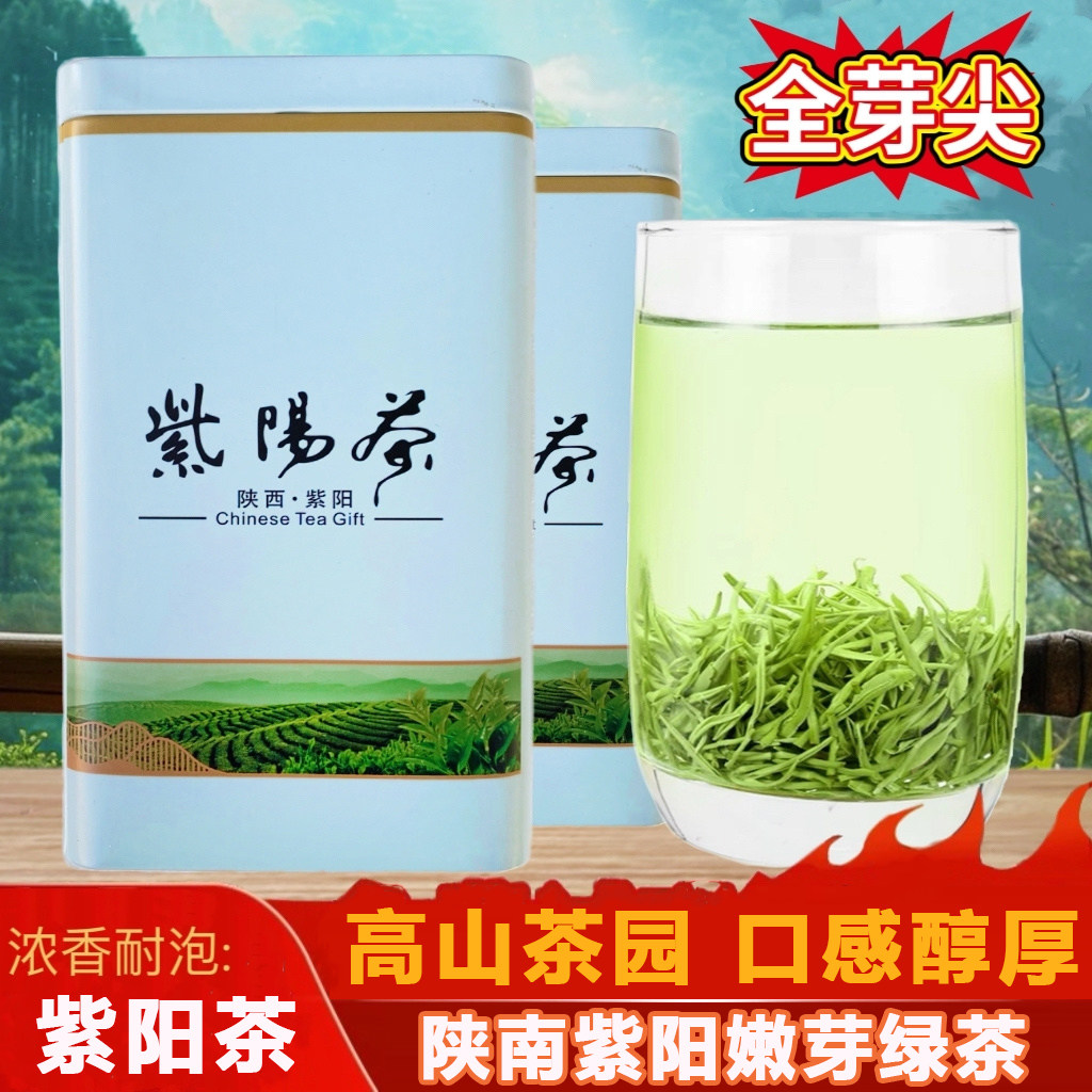 紫阳本地茶陕西明前茶紫阳陕西特产紫阳茶安康紫阳高山茶罐装批发