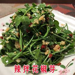 清水花椒芽苦菜花椒芽新鲜花椒嫩芽山野菜花椒芽菜炸花椒叶凉拌菜