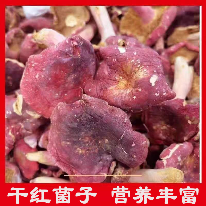 干红菌子新货野红菇天然红蘑菇干货特产煲汤家用正宗野红菌子天然