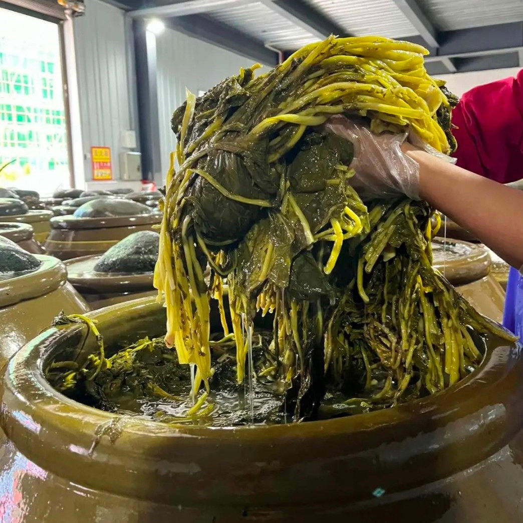 农家酸菜新鲜老坛酸菜野油菜酸菜浆水菜袋装真空陕西特产
