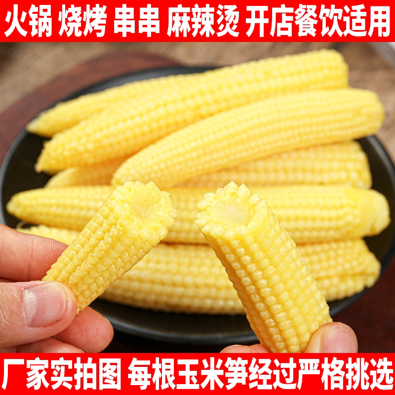 清水玉米笋新鲜清水玉米嫩芯200g袋装迷你小玉米火锅串串炖汤食材
