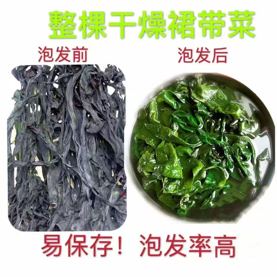 裙带菜干整棵干燥裙带菜干一棵菜凉拌火锅麻辣烫食材干货散装包邮