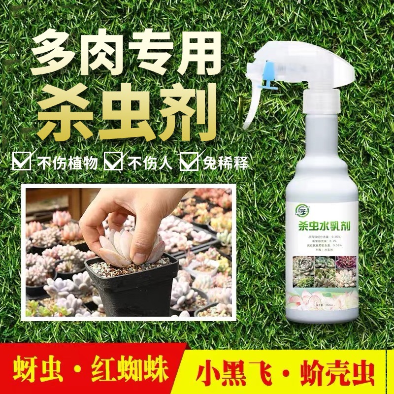 多肉杀虫剂介壳虫蚜虫小白虫花卉植物通用花草土壤除虫药室内家用