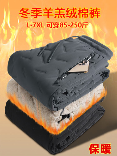 冬季羊羔绒保暖裤秋裤