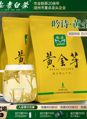 2025新茶吟诗黄金芽茶叶奶白明前特级250g正宗安吉核心特级袋装茶