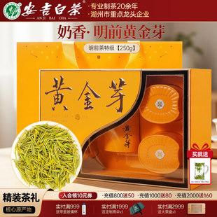 黄金芽茶叶2025新茶极奶白官方旗舰店明前特级250g节日送礼盒装茶