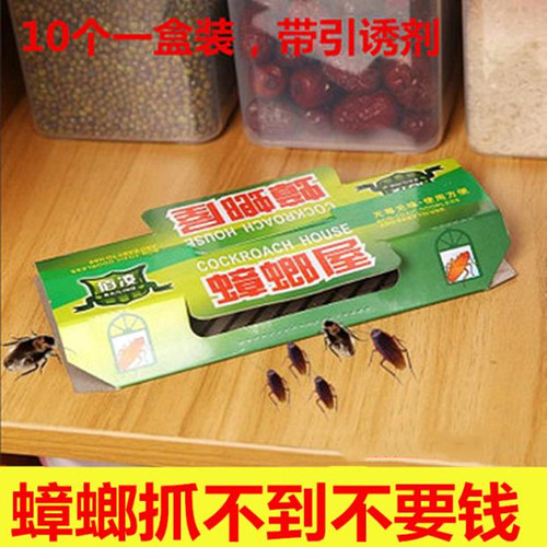蟑螂屋胶饵厨房一窝端捕捉器
