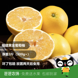250g 福建黄金葡萄柚3斤单果 坏果包赔 芭芭农场兑换