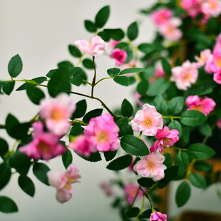 仿真玫瑰花藤蔷薇藤蔓假花花藤条空调管道装 饰花藤缠绕塑料花壁挂