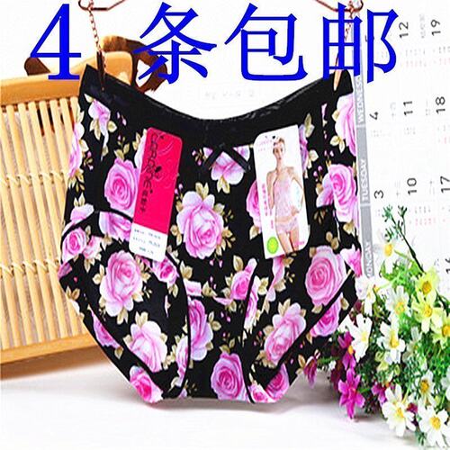 包邮花仙子低腰pe2628女高腰内裤