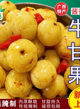 广西特产油甘果手工腌制咸甘味余甘果牛甘子油柑果开胃当季水果