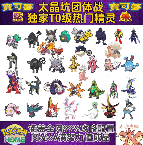 宝可梦朱紫太晶坑热门成品精灵60只