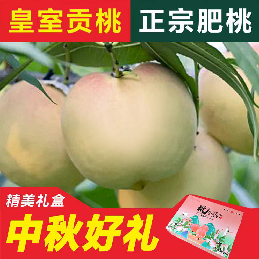 山东特产 肥城桃 白里老佛桃贡桃