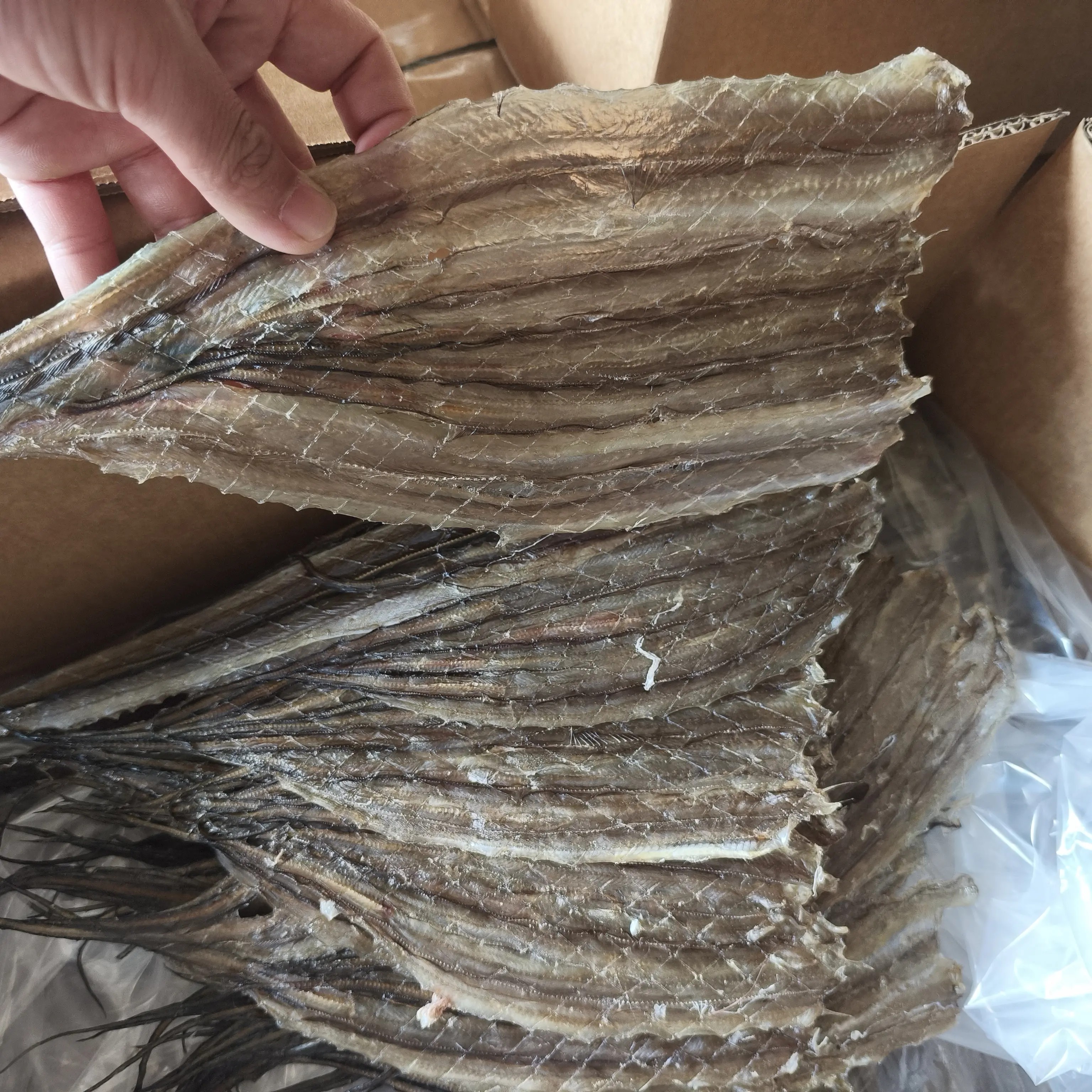 博贺港自晒微甜鳗鱼片烧烤店家庭小炒美味海产干货批发