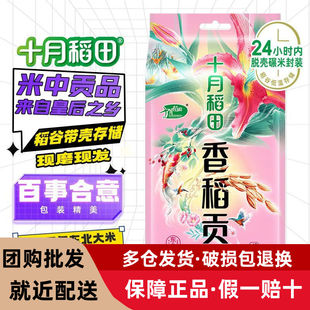 十月稻田 香稻贡米 东北大米 香米粳米小包装 1KG/袋