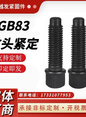 GB83紧定刀台丝  方头圆柱球面紧定螺丝45#钢车床刀架螺栓四方头