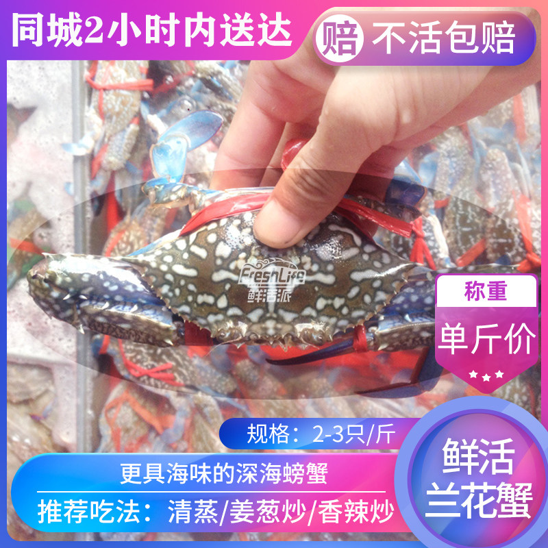 长沙店 鲜活兰花蟹500g 2-3只/斤北海海螃蟹花蟹青脚蟹大只肥美