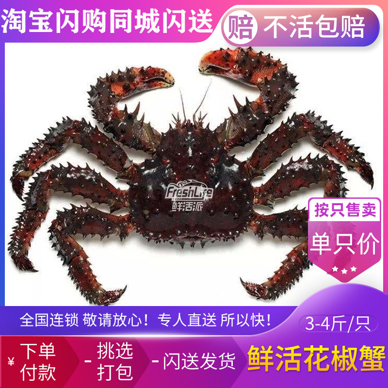成都店同城闪送 鲜活花椒蟹1只/份约3-4斤/只可选 长脚蟹包活