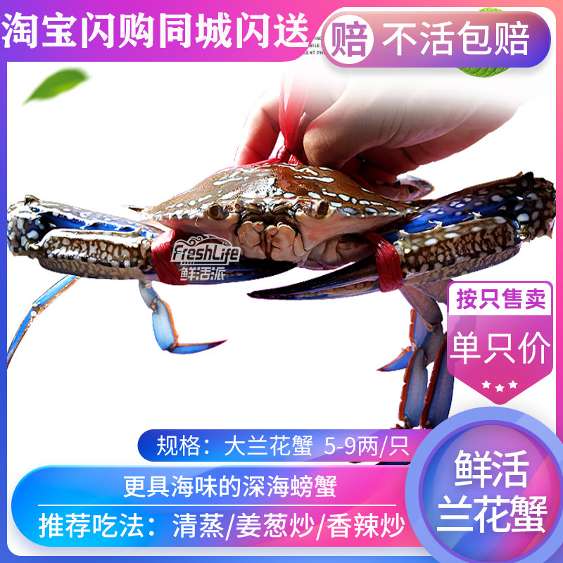 成都店同城闪送 鲜活兰花蟹1只/份约5-9两(精品特大)海蟹充氧包活