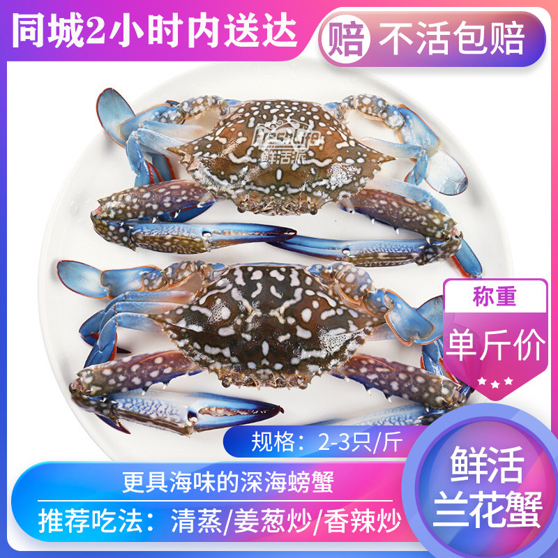 贵阳店 鲜活兰花蟹1斤/份约3只北海海螃蟹花蟹青脚蟹梭子大只肥美
