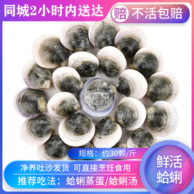 成都店天然鲜活蛤蜊约30颗/斤蚬子杂色蛤蛤蛎青蛤海鲜水产火锅