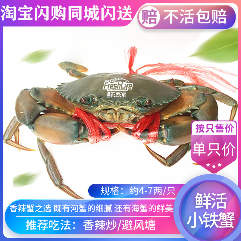 成都店同城闪送 鲜活缅甸大铁蟹1只/份约4-7两可选 肉蟹青蟹包活